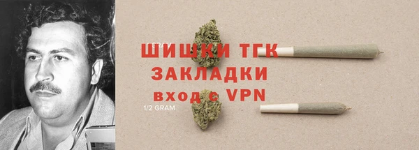 гидра Наволоки