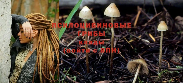 винт Навашино