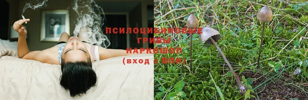 винт Навашино