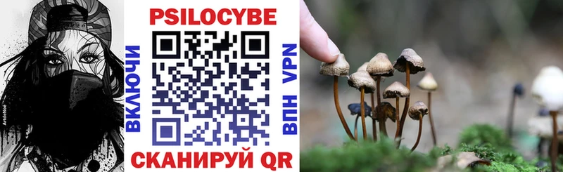 где купить MEGA как войти Псилоцибиновые грибы MAGIC MUSHROOMS Смоленск