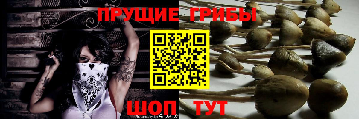 Псилоцибиновые грибы ЛСД Смоленск